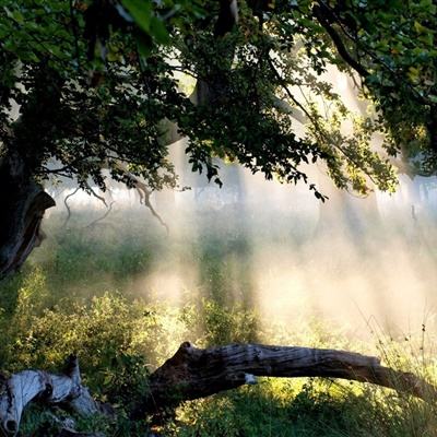 开云注册·Kaiyun