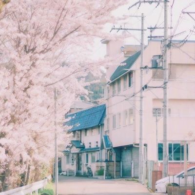 牛牛游戏网下载手机版