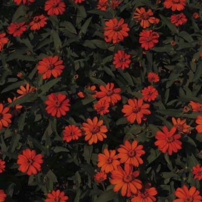 爱游戏全站APP入口苹果版